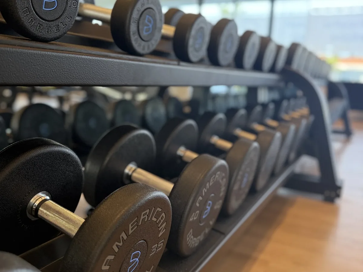 Performance training versus longevity training across goals, intensity, and recovery
